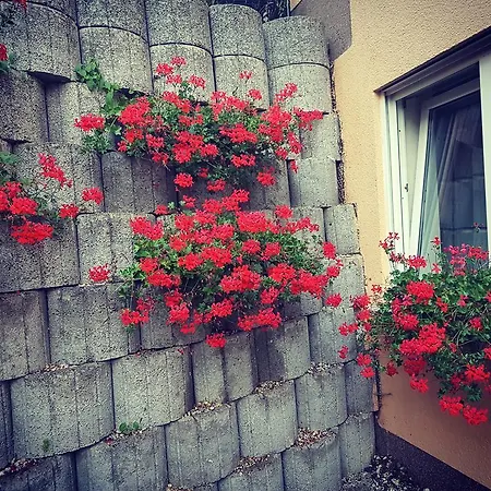 Apartment Koblenz Appartamento