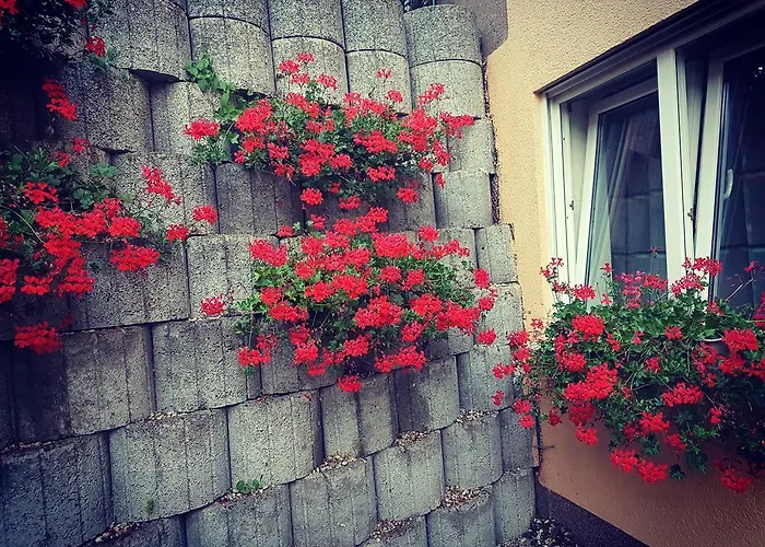 Apartment Koblenz Apartment